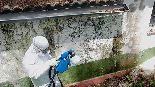 Top rated local Crawl Space Mold Removal specialists in Wallingford, PA